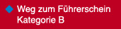 Weg zum Führerschein